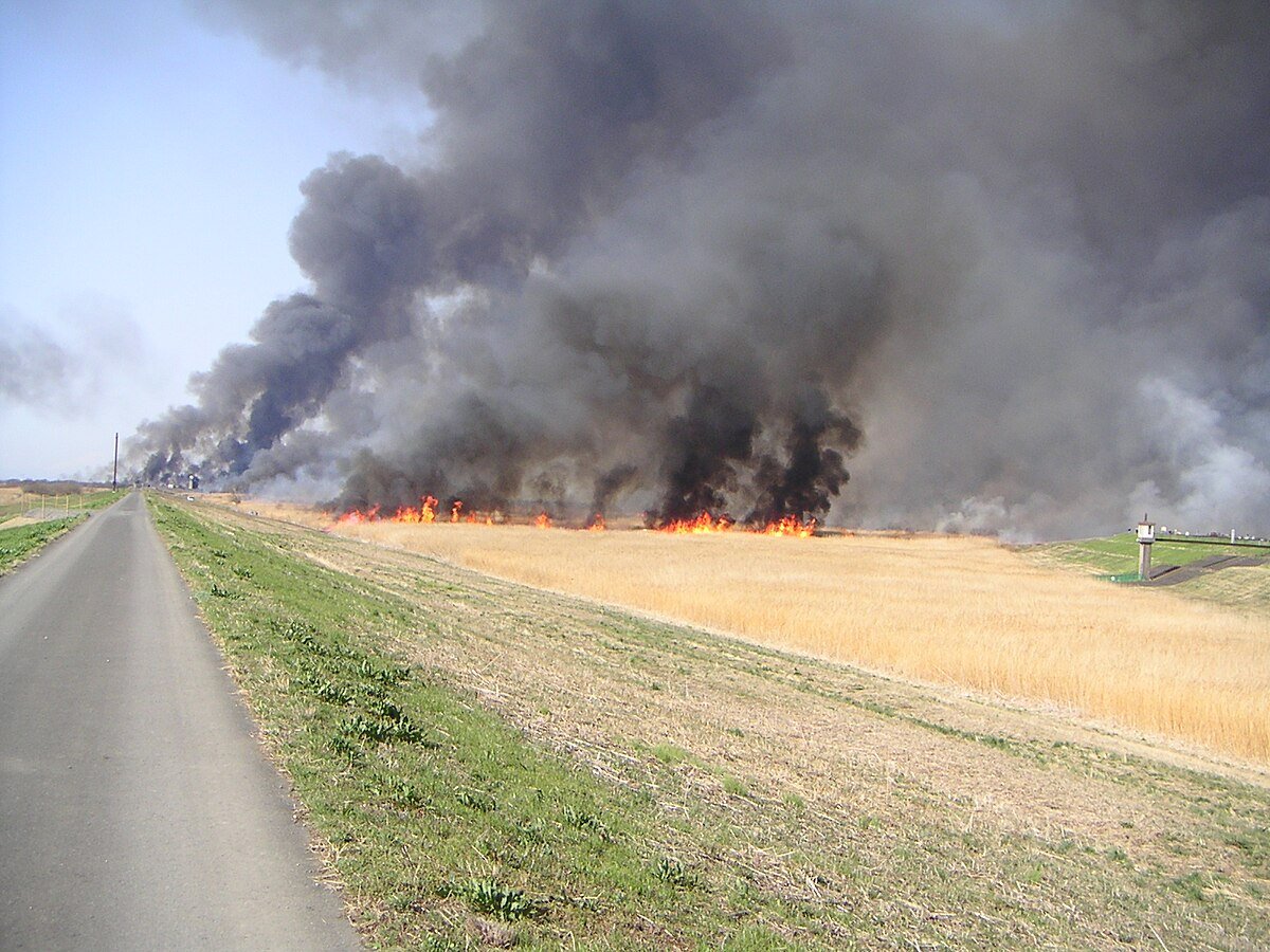 🏞️ 와타라세 유수지 이미지 9
